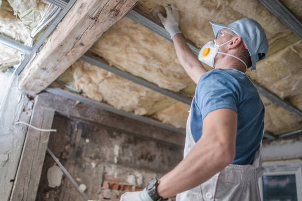 Best Specialized Insulation Services in Silver Lake, NC