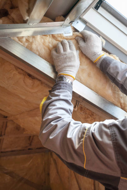 Best Geographic-Specific Insulation Services in Silver Lake, NC