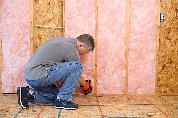 Best Cellulose Insulation in Silver Lake, NC