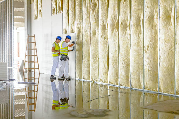 Best Spray Foam Insulation in Silver Lake, NC